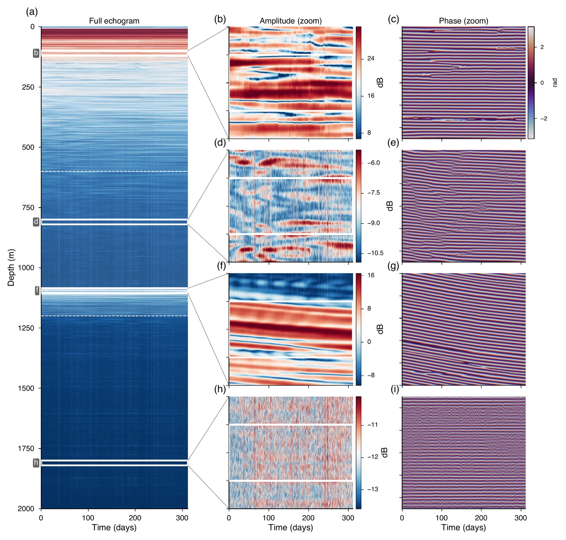 ApRES echogram showing amplitude over depth and time, with zoomed amplitude and phase panels at four depths